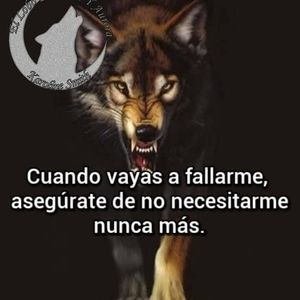 Meet your Posher, Gerson